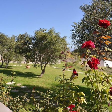 Alexandra'S Garden Houses Stalos Luaran gambar